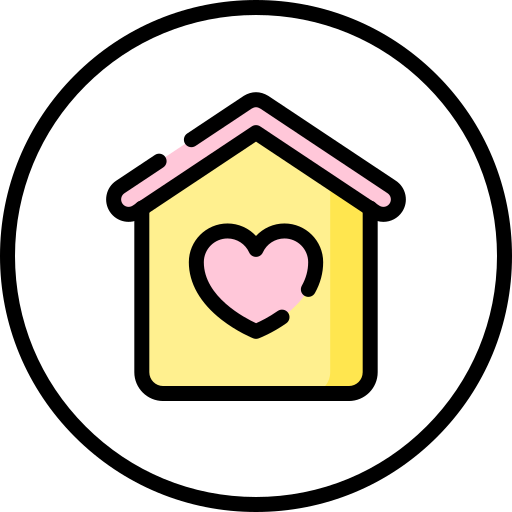 Home Special Lineal color icon