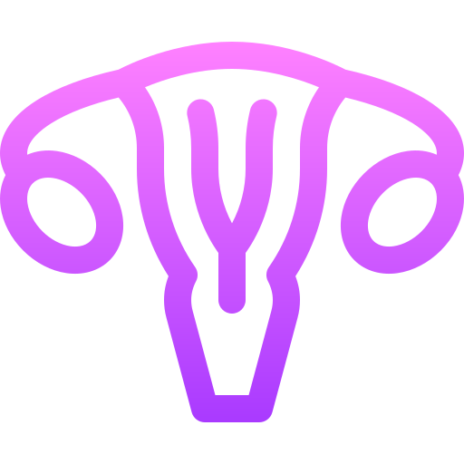 uterus Basic Gradient Lineal color icon