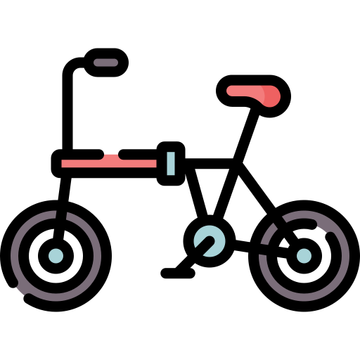Bycicle Special Lineal color icon