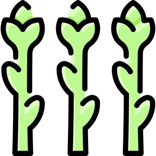 Asparagus Vitaliy Gorbachev Lineal Color icon