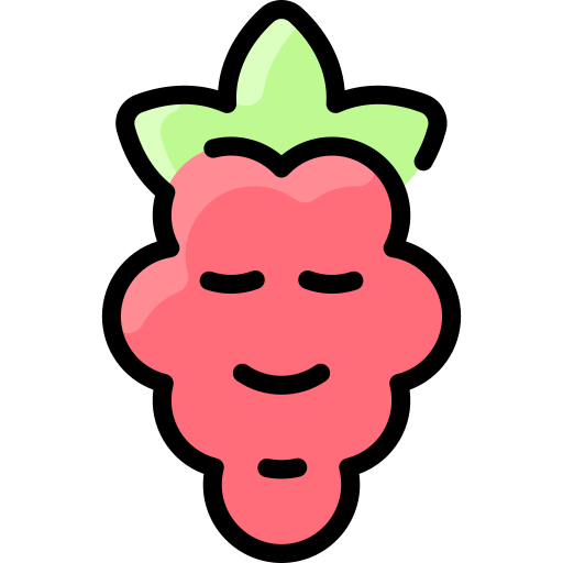 Raspberry Vitaliy Gorbachev Lineal Color icon