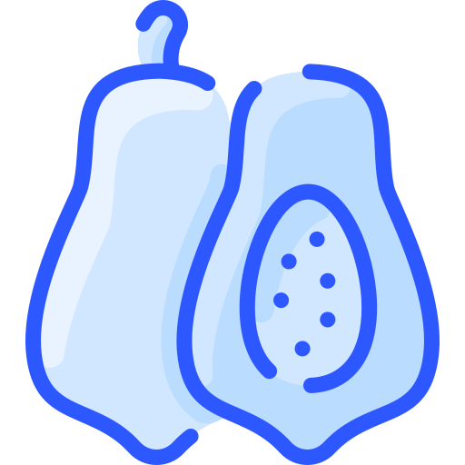 papaya Vitaliy Gorbachev Blue icono