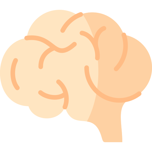cervello Special Flat icona