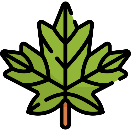 단풍잎 Special Lineal color icon