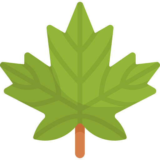 Maple leaf Special Flat icon