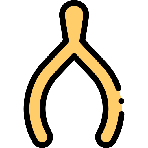 wishbone Detailed Rounded Lineal color icon