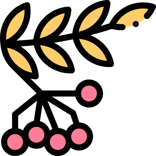 ヒイラギ Detailed Rounded Lineal color icon