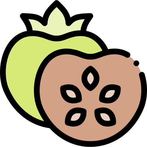 sapote Detailed Rounded Lineal color icon