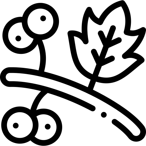 biancospino Detailed Rounded Lineal icona