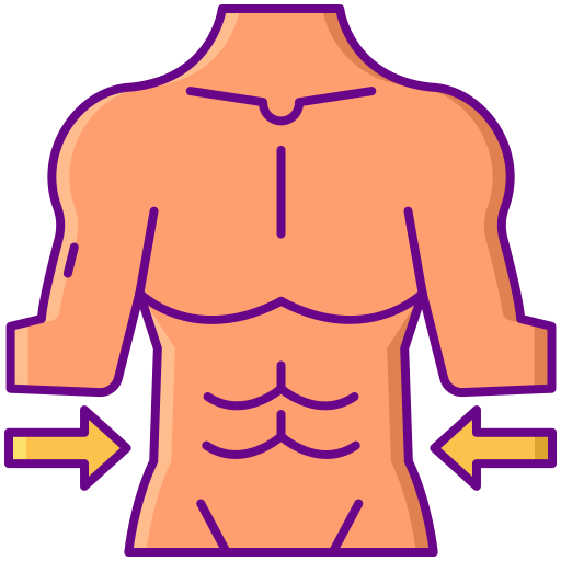 cuerpo Flaticons Lineal Color icono