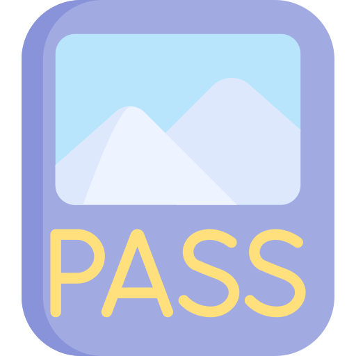 Ski pass Special Flat icon