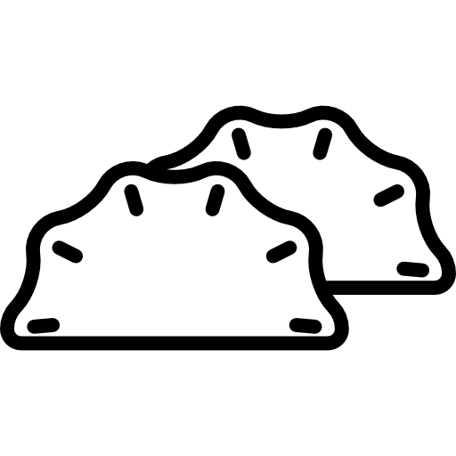 Dumpling Special Lineal icon