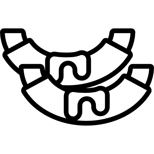 Ribs Special Lineal icon
