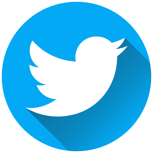 Twitter Generic Flat icon