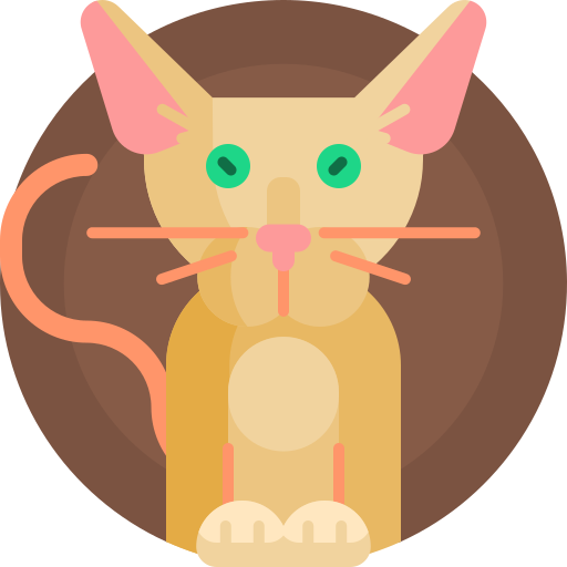 oosterse kat Detailed Flat Circular Flat icoon