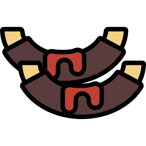 Ribs Special Lineal color icon