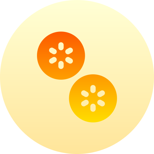 fetta di cetriolo Basic Gradient Circular icona