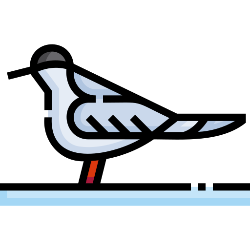 Arctic tern Detailed Straight Lineal color icon