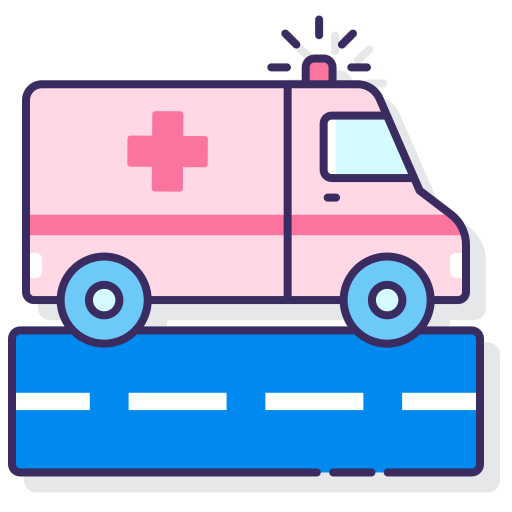 ambulancia Flaticons Lineal Color icono