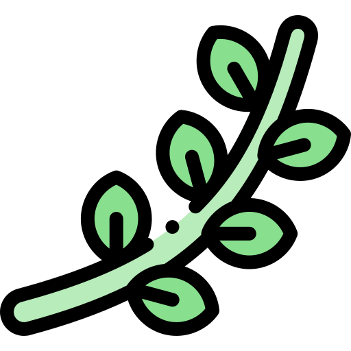 잎 Detailed Rounded Lineal color icon