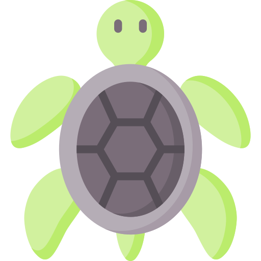 tartaruga Special Flat Ícone