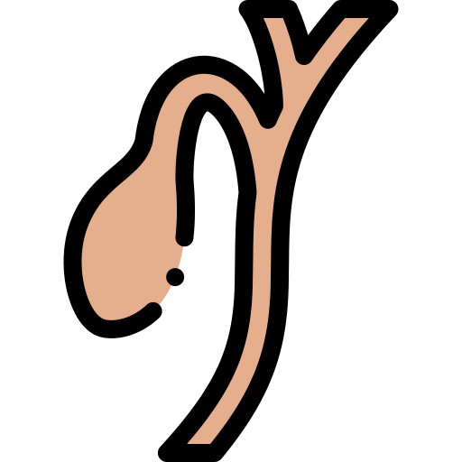 Gallbladder Detailed Rounded Lineal color icon