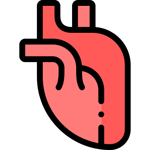 Heart organ Detailed Rounded Lineal color icon