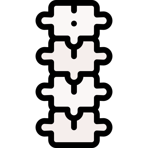 Spine Detailed Rounded Lineal color icon