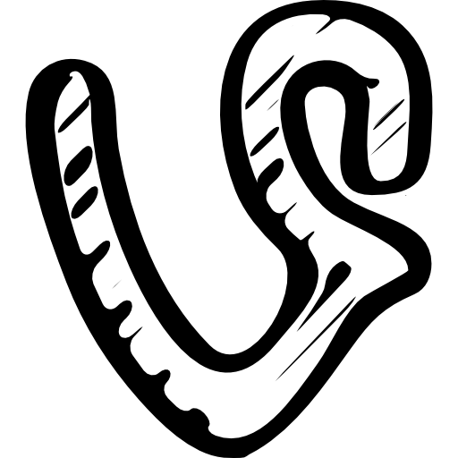 Vine sketched social logo  icon