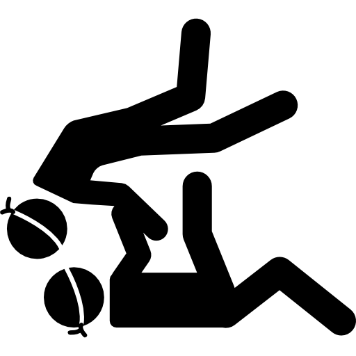 paralympische judo-paar-silhouette  icon