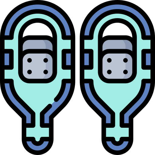 Snowshoes Special Lineal color icon