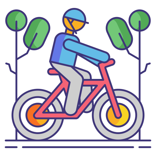Cross country Flaticons Lineal Color icon