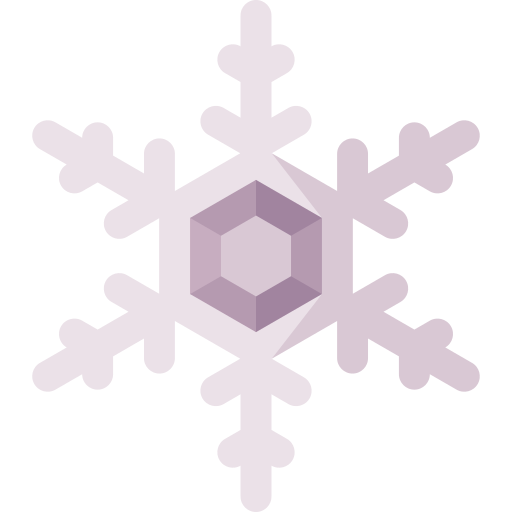 płatek śniegu Special Flat ikona