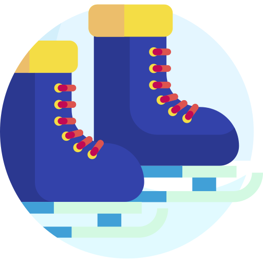 patines de hielo Detailed Flat Circular Flat icono