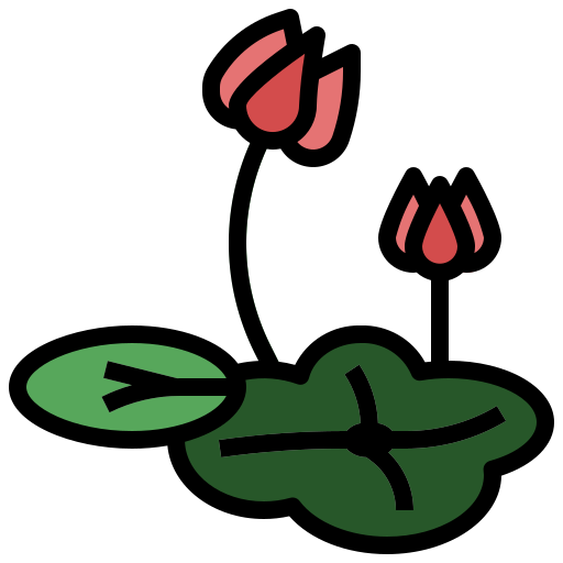Lotus flower Surang Lineal Color icon