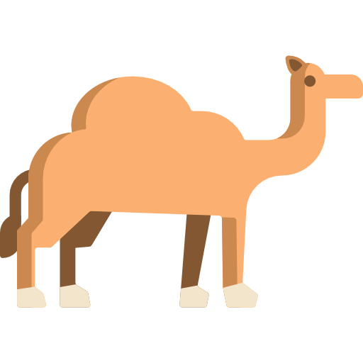 camello Special Flat icono