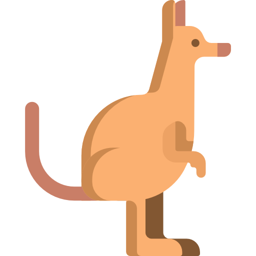 Kangaroo Special Flat icon