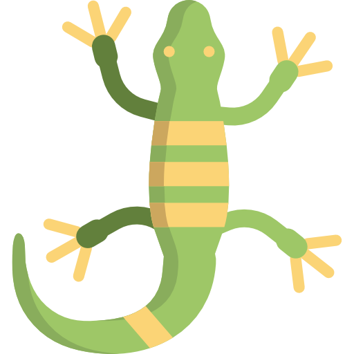 Lizard Special Flat icon