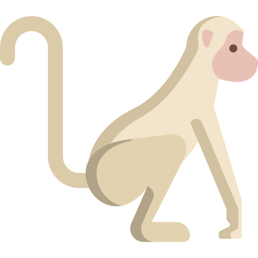 małpa Special Flat ikona