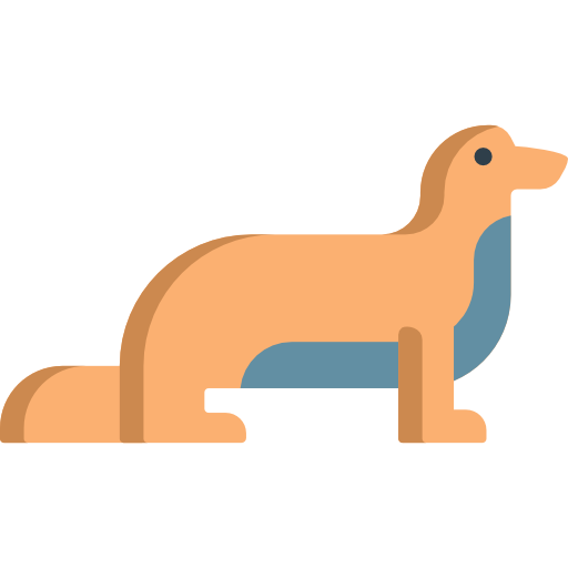 animales Special Flat icono