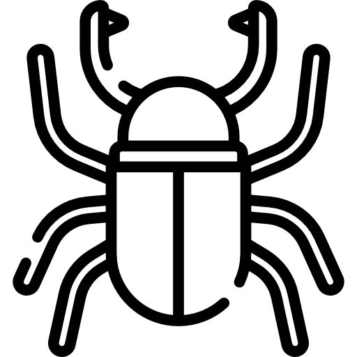 딱정벌레 Special Lineal icon