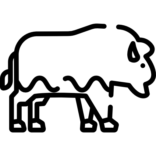 bizon Special Lineal ikona