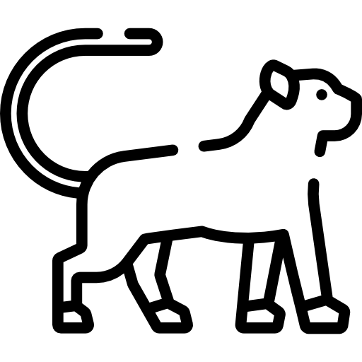 Пантера Special Lineal иконка