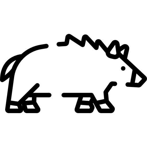 Boar Special Lineal icon