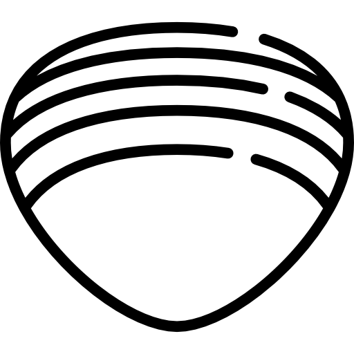 대합 Special Lineal icon
