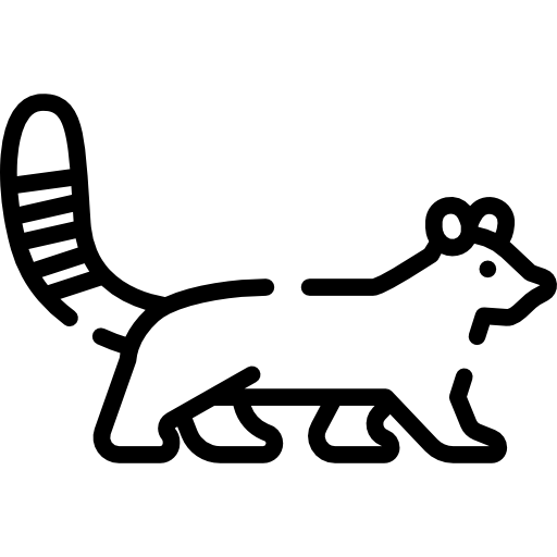 królestwo zwierząt Special Lineal ikona