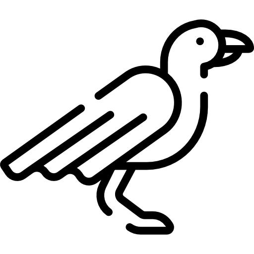 Crow Special Lineal icon