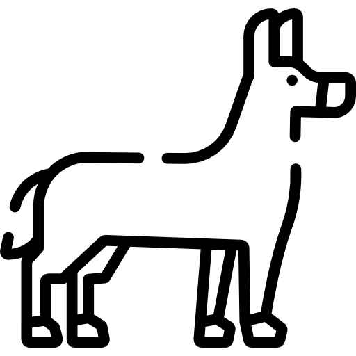 ロバ Special Lineal icon