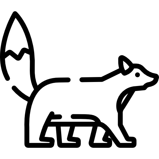 Fox Special Lineal icon