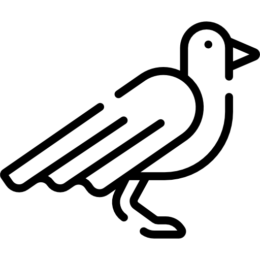 Птица Special Lineal иконка